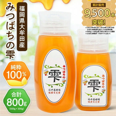 【ふるさと納税】坂井養蜂場　みつばちの雫　500g+300g(合計800g)国産蜂蜜【1254446】