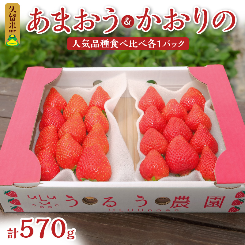 最大68%OFFクーポン D2243 フルーツ 福岡県産 博多あまおう 予約 果物 約1120g