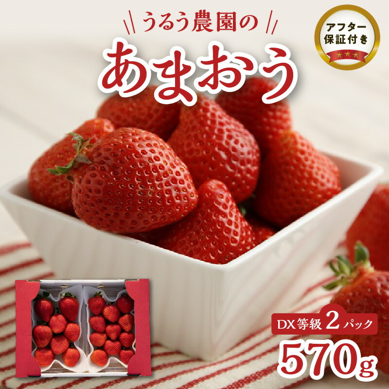 楽天市場】【ふるさと納税】いちご あまおう 4パック 1140g DX