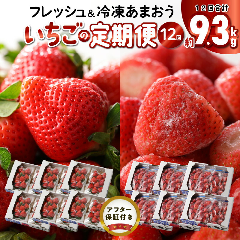 【ふるさと納税】いちごの年間定期便 12回 毎月発送 あまおう イチゴ フレッシュ 冷凍苺 計約9.3kg 食べごたえ 溢れ出す おいしい 果汁 ヨーグルト スムージー 栄養素 福岡県 久留米市 冷蔵 冷凍 果物 フルーツ スイーツ お取り寄せ 送料無料