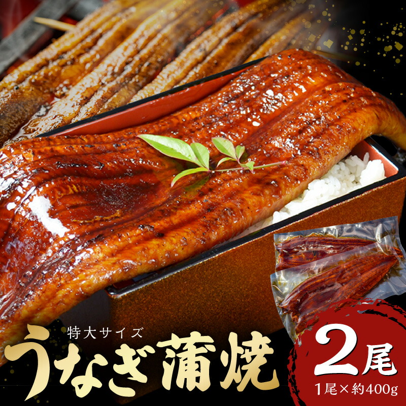 【ふるさと納税】特大 うなぎ 蒲焼 無頭 約 400g 2尾 秘伝のタレ グルメ 食品 加工品 魚 魚介類 おかず 惣菜 ご飯のお供 酒の肴 うな丼 ひつまぶし お茶漬け 鰻巻き 冷凍 パック 太輔商事 福岡県 久留米市 お取り寄せ お取り寄せグルメ 送料無料|福岡県久留米市