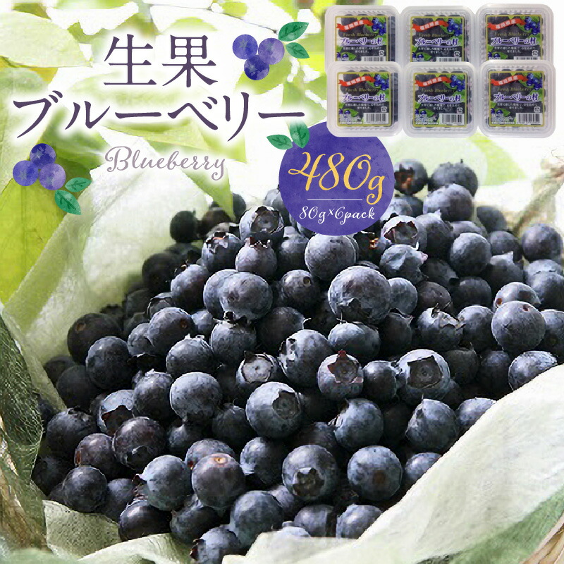 【ふるさと納税】福岡県産 生果 ブルーベリー 80g × 6パック 計 480g 耳納連山 麓 筑後川 恵み 国産 果物 フルーツ 新鮮 冷蔵 冷凍保存可 デザート グルメ お取り寄せ お取り寄せグルメ 九州 福岡県 久留米市 送料無料