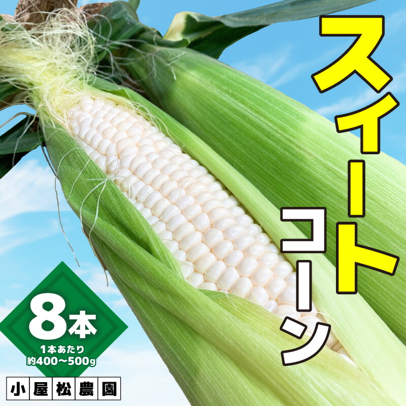 【楽天市場】【ふるさと納税】【期間限定】 スイートコーン 8本入 ホワイト種 とうもろこし ホワイトコーン 野菜 甘い やわらかい 平均糖度 ...