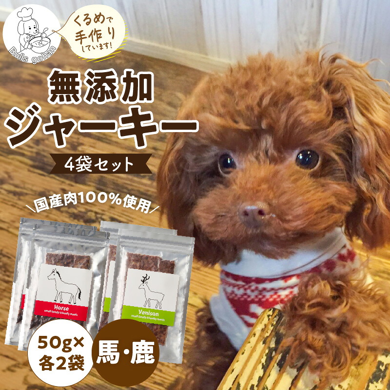 久留米市愛玩動物ボンネット特集