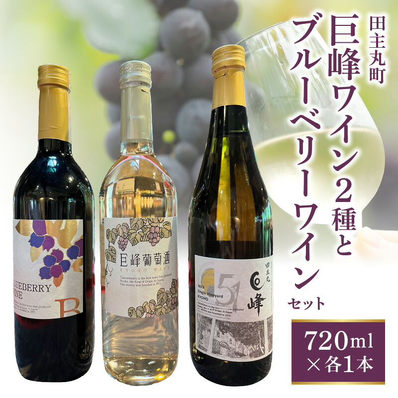 【ふるさと納税】 田主丸町 巨峰 ワイン 二種 ブルーベリーワイン 各 720ml × 1本 計 3本 セット 巨峰葡萄酒ドライ 辛口 すっきり ブルーベリー 甘口 濃厚 シングルヴィンヤード 巨峰白 中口 フルーティー 飲み比べ お取り寄せ 20,440円