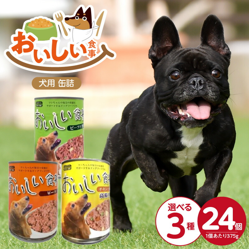 久留米市愛玩動物ボンネット特集
