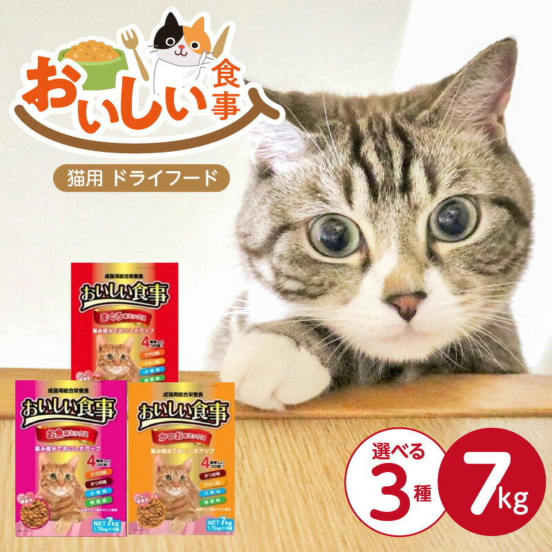 久留米市愛玩動物ボンネット特集