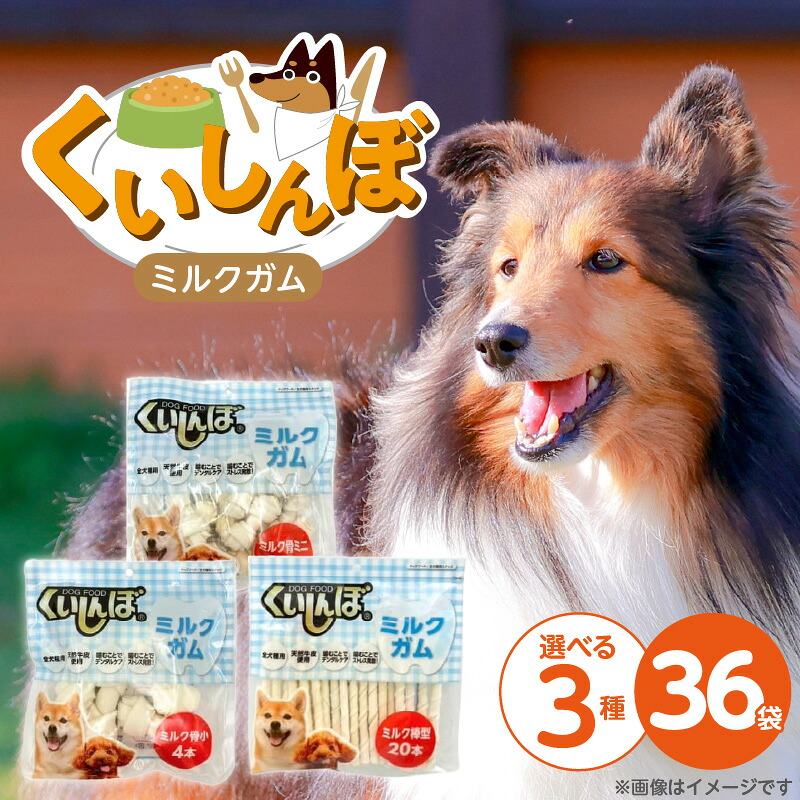 久留米市愛玩動物ボンネット特集