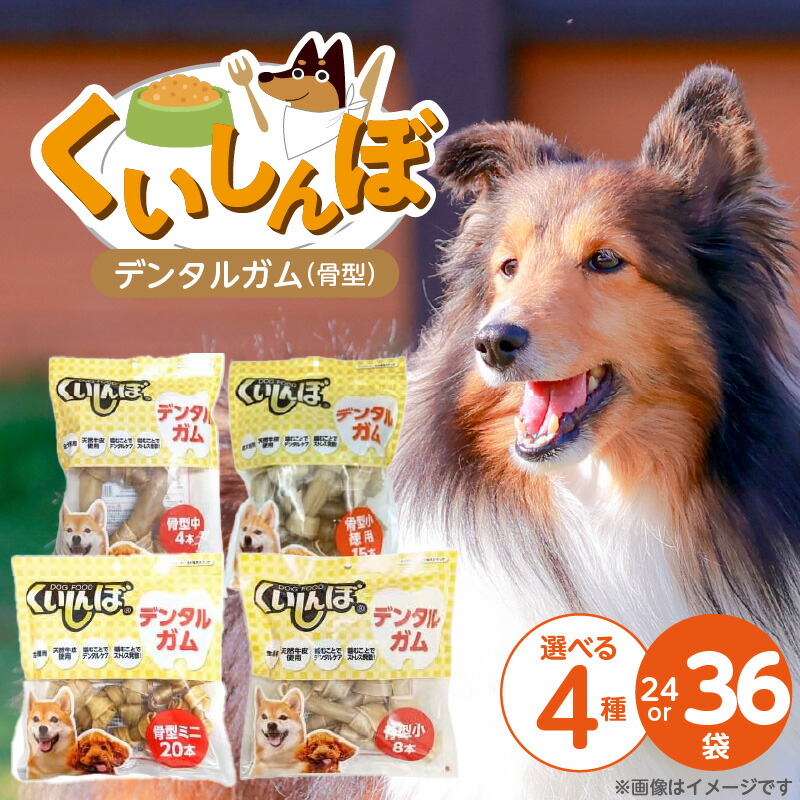 久留米市愛玩動物ボンネット特集