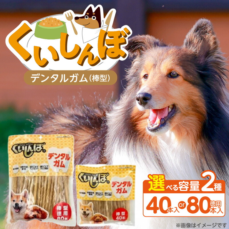 久留米市愛玩動物ボンネット特集