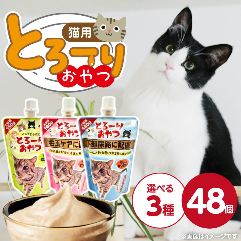【ふるさと納税】とろーりおやつ 猫用 140g ～ 150g × 48個 選べる セット内容 ツナ＆ほたて味 ツナ＆かつお節味 毛玉ケア 下部尿路 液状タイプ おやつ 水分補給 低カロリー 体重管理 長期保存 キャップ付き スパウトパウチ 福岡県 久留米市