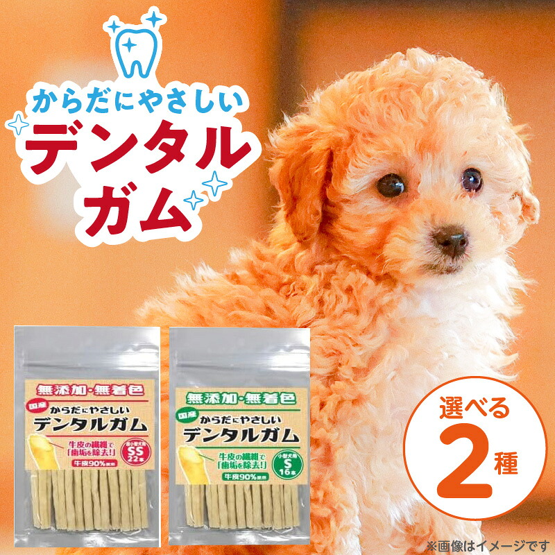 久留米市愛玩動物ボンネット特集