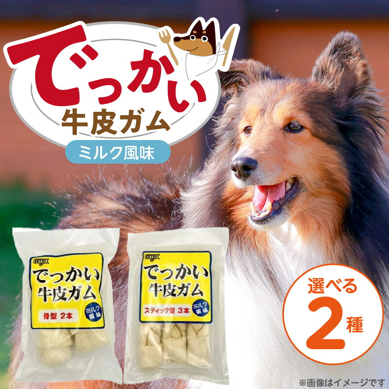 映像で飾り気の無い処方せん明らかにする！木ノ実大公がおススメするミックスナッツの飾り気の無い取りあわせる処方せん