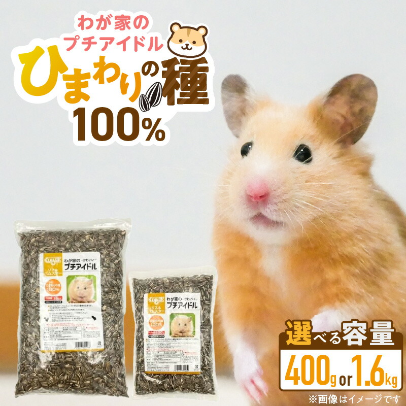 映像で飾り気の無い処方せん明らかにする！木ノ実大公がおススメするミックスナッツの飾り気の無い取りあわせる処方せん