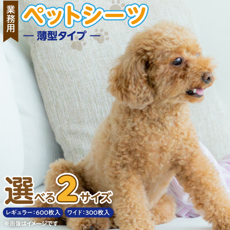 久留米市愛玩動物ボンネット特集