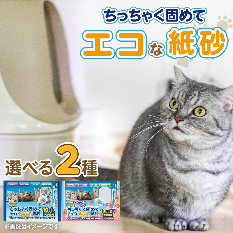 【ふるさと納税】紙砂 選べる セット内容 大家族用 11L×5袋 フローラルの香り 10L×5袋 猫用 主原料 再生紙 環境に優しい 猫砂 小さく 固まる 色 変わる 粉立ち 少ない 燃えるゴミ 処理 簡単 愛猫 猫 日用品 消耗品 ペット用品 福岡県 久留米市 送料無料|福岡県久留米市