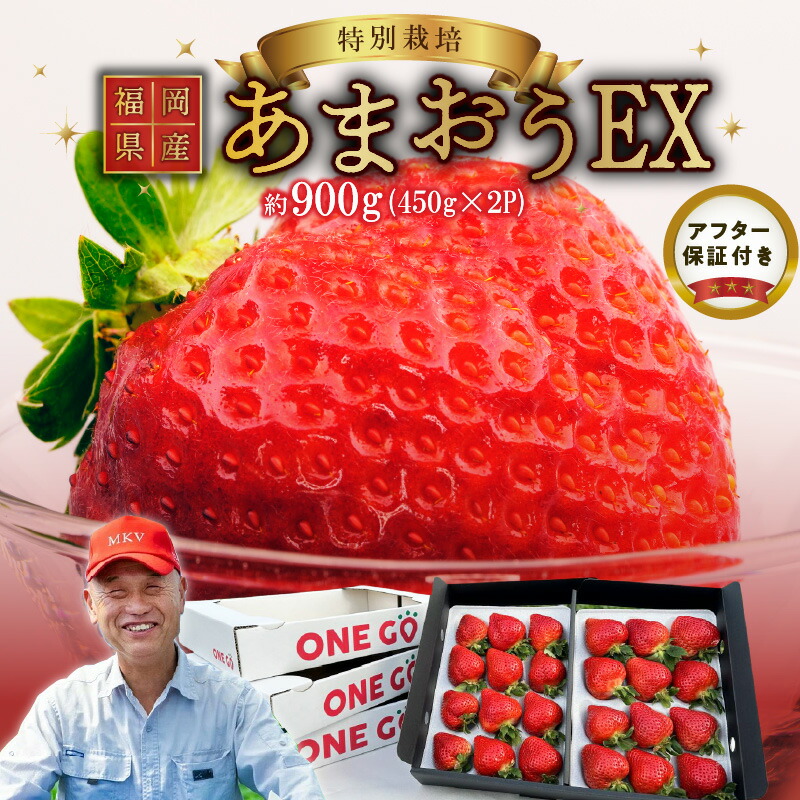 【ふるさと納税】【2026年1月より順次発送】福岡県産 あまおう 約450g×2パック エコファーマー 土づくり 化学合成農薬 化学肥料 低減 特別栽培 ギフト配送 希少価値 EX イチゴ フルーツ デザート 甘い 果汁 贈り物 果物 お取り寄せ 福岡県 久留米市 冷蔵発送 送料無料