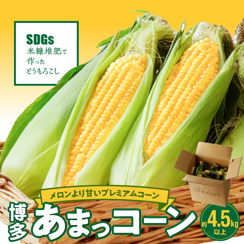 【ふるさと納税】【2025年6月より順次出荷】 農家直送！ とうもろこし 博多あまっコーン 約 4.5kg 以上 10本 ～ 15本 プレミアムコーン 粒が大きい 食べ応え 美味しい 糖度 野菜 酒見農産 お取り寄せ 福岡県 久留米市 送料無料