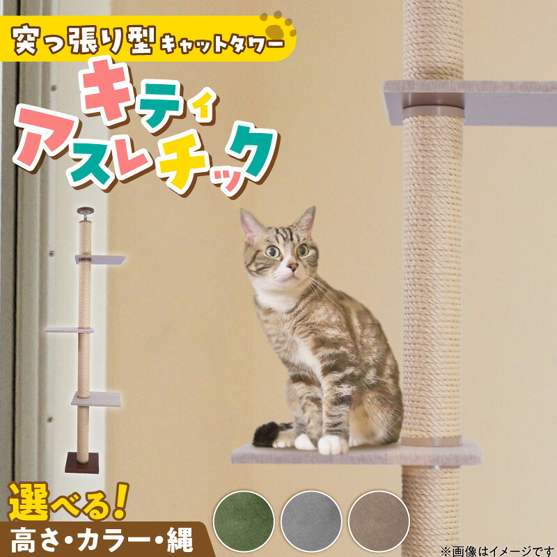 映像で飾り気の無い処方せん明らかにする！木ノ実大公がおススメするミックスナッツの飾り気の無い取りあわせる処方せん
