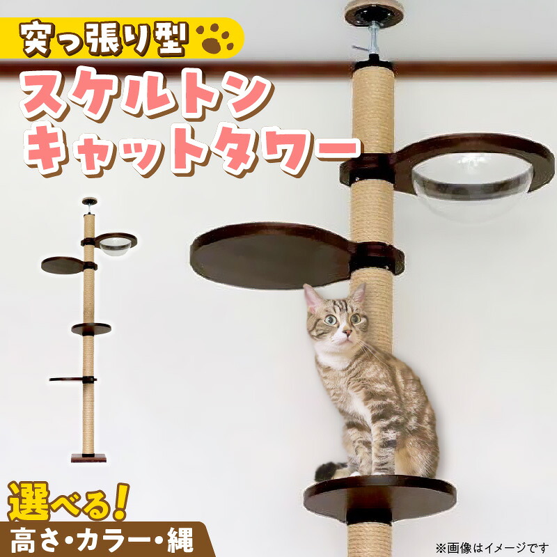 画像で飾り気のない処方せん明らかにする！木の実大公がおススメするミックスナッツの飾り気のない取り合わせる処方せん