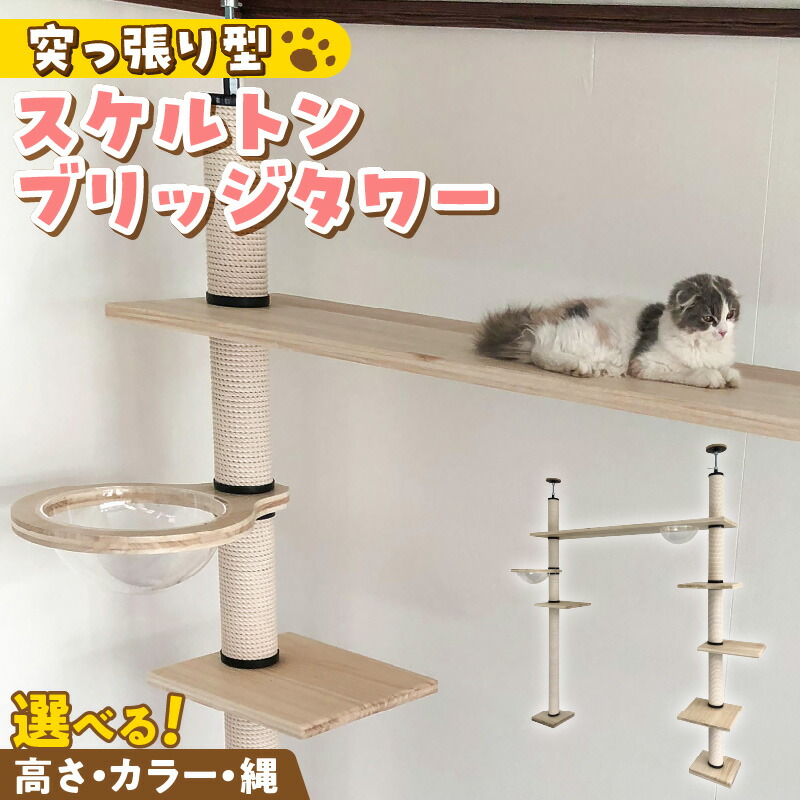 画像で飾り気のない処方せん明らかにする！木の実大公がおススメするミックスナッツの飾り気のない取り合わせる処方せん