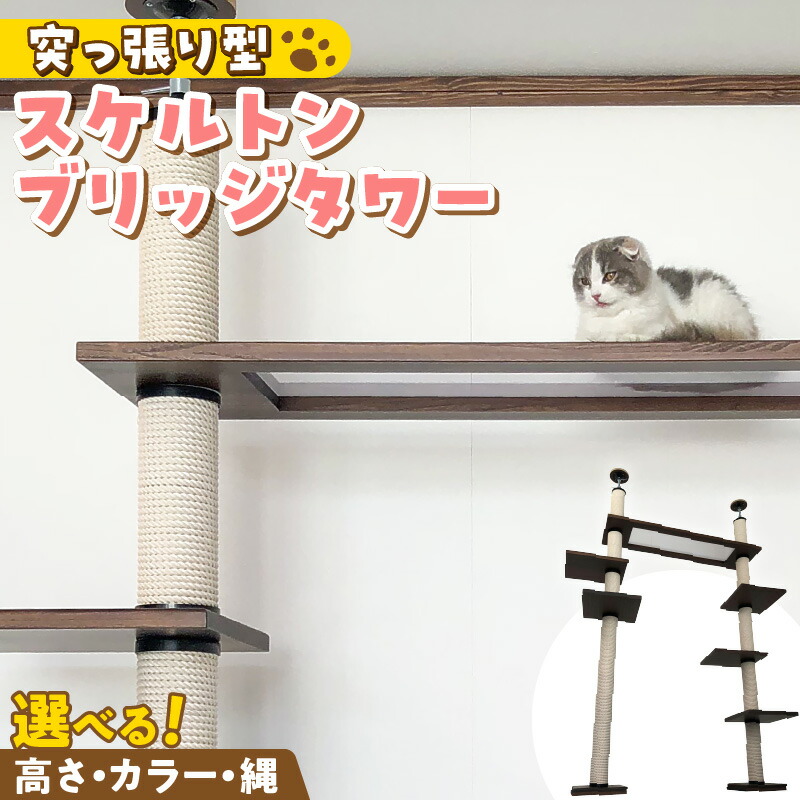 映像で飾り気の無い処方せん明らかにする！木ノ実大公がおススメするミックスナッツの飾り気の無い取りあわせる処方せん