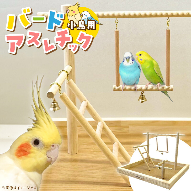 画像で飾り気の無い処方せん明らかにする！木ノ実大公がおススメするミックスナッツの飾り気の無い取りあわせる処方せん