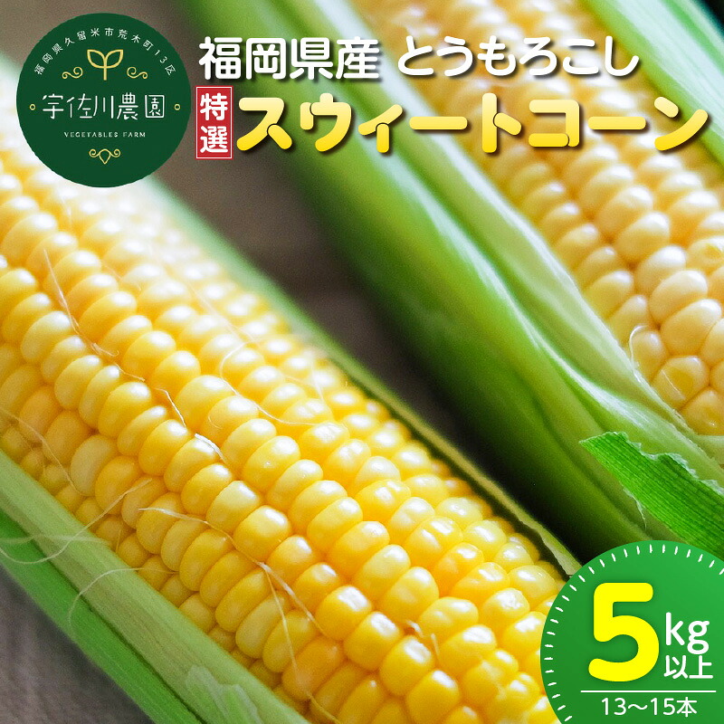 【ふるさと納税】福岡県産 トウモロコシ スウィートコーン 特選 5kg以上 13本～15本 生でも食べれる 朝どれ 甘み ジューシー 旬 野菜 食材 福岡県 久留米市 宇佐川農園 お取り寄せ お取り寄せグルメ 送料無料