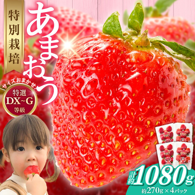 【ふるさと納税】福岡県産 特別栽培 完熟 あまおう 270g × 4パック サイズおまかせ DX～G等級 国産 苺 濃厚 ジューシー 甘い 果実 果肉 土耕栽培 フルーツ 果物 お取り寄せ お取り寄せフルーツ デザート おやつ ストロベリー 食品 九州 福岡県 久留米市 送料無料