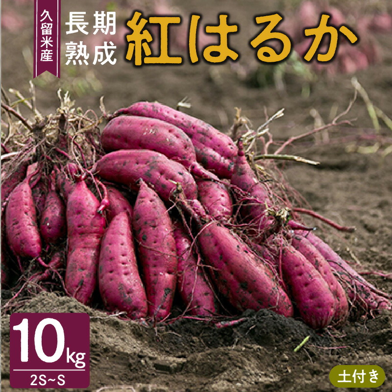 【ふるさと納税】さつまいも 紅はるか 10kg 2S ～ S サイズ 土付き 久留米産 栽培期間中農薬不使用 長期熟成 熟成 上品 甘み ねっとり しっとり 本場 美味しい おやつ スイーツ 常温発送 国産 九州 福岡県 久留米市 お取り寄せ お取り寄せグルメ 送料無料