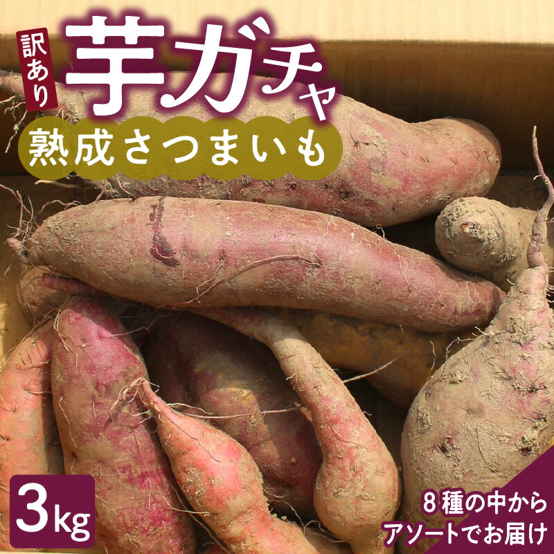 【ふるさと納税】【訳あり】久留米市産 さつまいも 3kg 芋 ガチャ 栽培期間中農薬不使用 熟成 甘い 美味しい おやつ スイーツ バラエティ 紅はるか シルクスイート 国産 常温発送 国産 九州 福岡県 久留米市 お取り寄せ お取り寄せグルメ 送料無料
