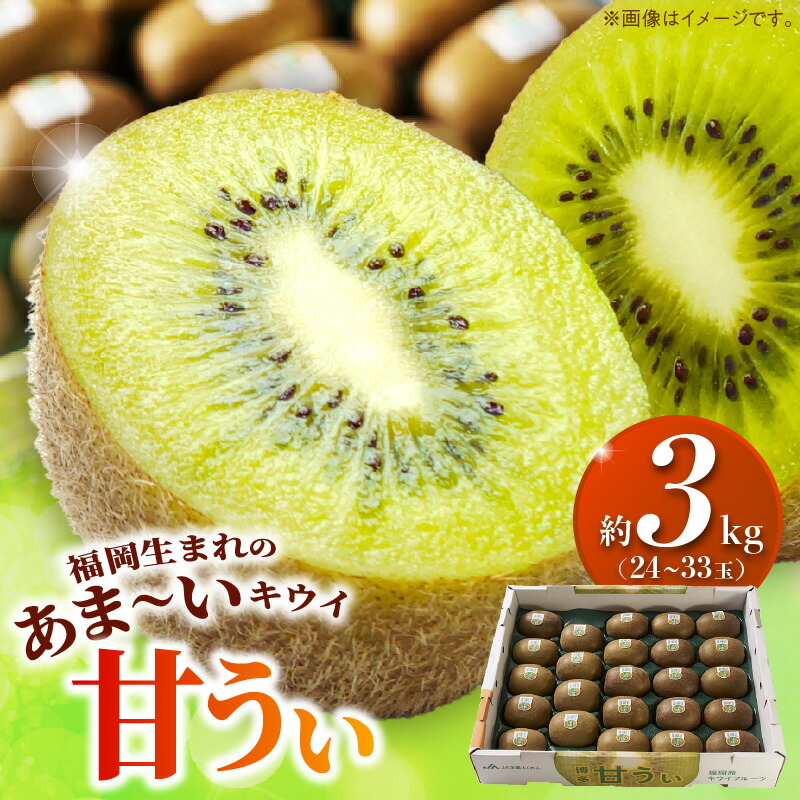【ふるさと納税】甘い キウイ 甘うぃ キウイフルーツ 3kg 国産 甘みの強い 果実 黄色味 福岡 オリジナル品種 濃厚 まろやか 高糖度 フルーツ 果物 ヨーグルト スムージー ジュース デザート 福岡県 久留米市 お取り寄せ お取り寄せフルーツ 送料無料