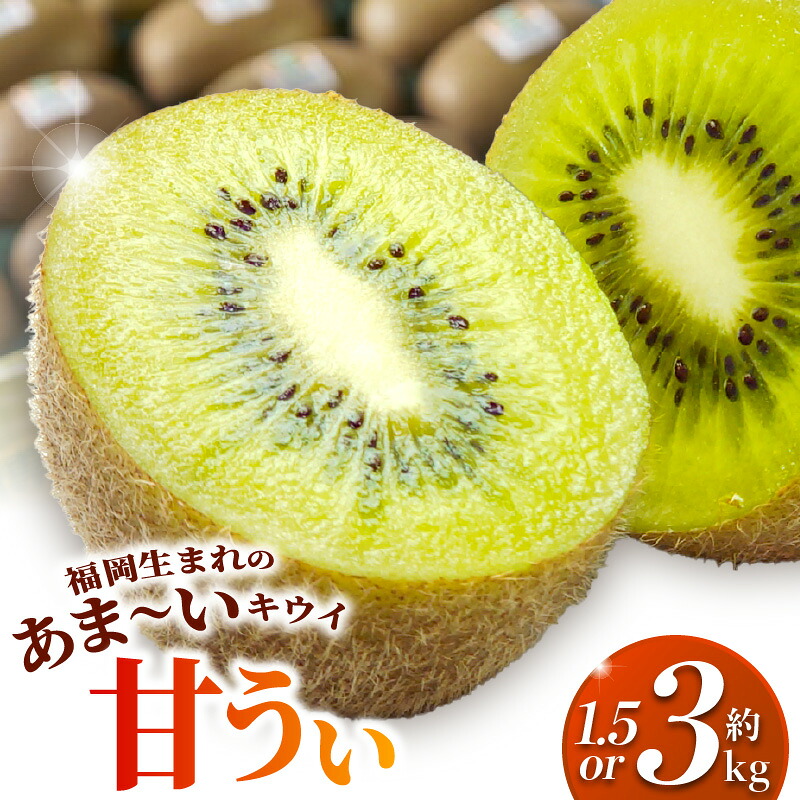 【ふるさと納税】【2026年10月以降お届け】 甘い キウイ 甘うぃ キウイフルーツ 選べる 内容量 約1.5kg 約3kg 国産 甘みの強い 果実 黄色味 福岡 オリジナル品種 濃厚 まろやか 高糖度 フルーツ 果物 ヨーグルト スムージー ジュース デザート 福岡県 久留米市 送料無料｜福岡県久留米市