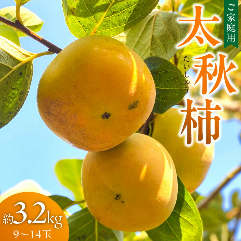 【ふるさと納税】 訳あり品 太秋柿 9～14玉 約3.2kg 10月発送 ご家庭用 柿 甘柿 フルーツ 果物 スイーツ 甘い 条紋 10月最盛期 完全甘柿 早生品種 大玉 甘みが強い シャキシャキ 種が少ない 子供でも 食べやすい 福岡県 久留米市 送料無料