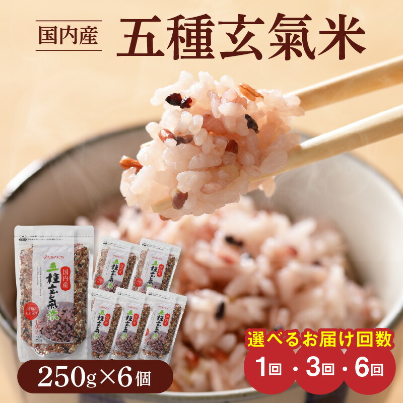 【ふるさと納税】国内産 五種玄氣米 250g×6個 選べる お届け回数 1回 3回 6回 玄米 ブレンド 雑穀米 もち赤米 うるち玄米 もち玄米 もち黒米 もち緑米 プチプチ もちもち 混ぜて炊くだけ 冷めても美味しい 主食 おにぎり 弁当 食卓 華やか 福岡県 久留米市 送料無料|福岡県久留米市