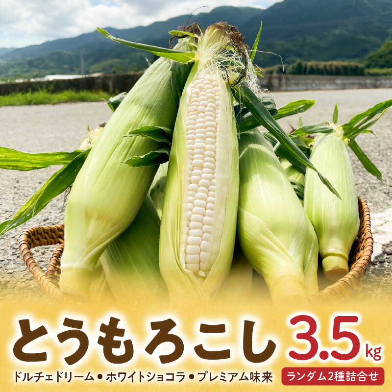 【ふるさと納税】とうもろこし 2種 詰合せ 計 3.5kg ドルチェドリーム ホワイトショコラ プレミアム味来 ランダムで2種 生で食べられる ジューシー 甘い  白いとうもうこし 上品な甘さ ミルキー クセになる食感 お取り寄せ お取り寄せグルメ 冷蔵 久留米市 福岡県 送料無料