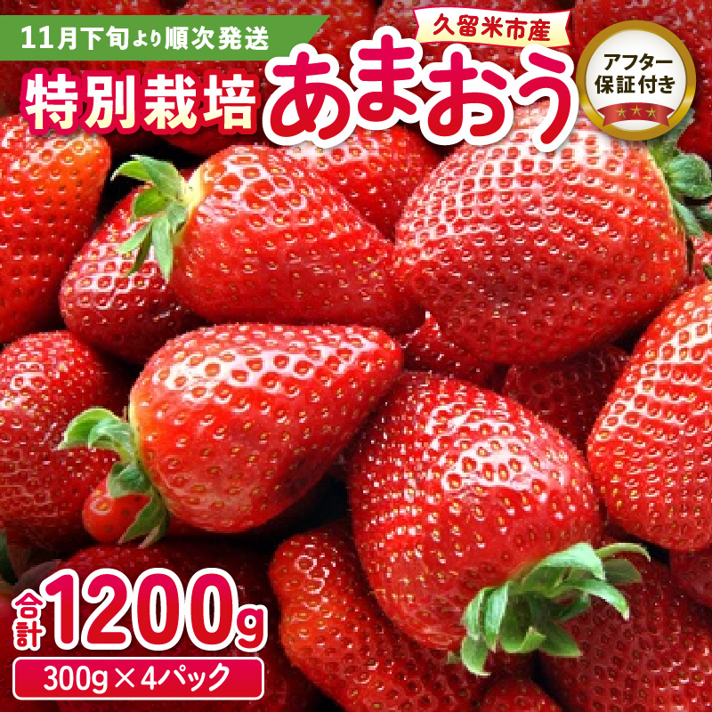 楽天市場】【ふるさと納税】旬のおいしさそのまま 特殊 冷凍 あまおう