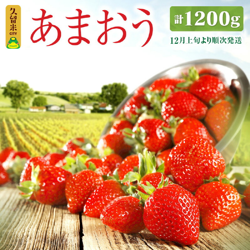 最大68%OFFクーポン D2243 フルーツ 福岡県産 博多あまおう 予約 果物 約1120g 4パック くだもの 送料無料 イチゴ 苺 九州 国産  いちご フルーツ・果物