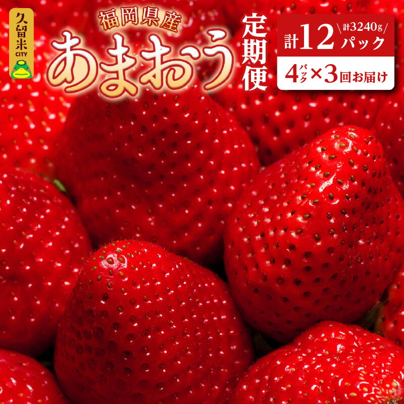 市場 ふるさと納税 春くるめあまおう6パック：福岡県久留米市