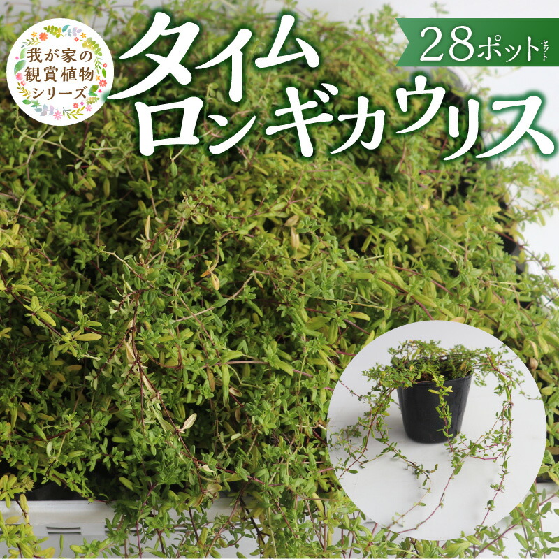 画像で飾り気のない処方せん明らかにする！木の実大公がおススメするミックスナッツの飾り気のない取り合わせる処方せん