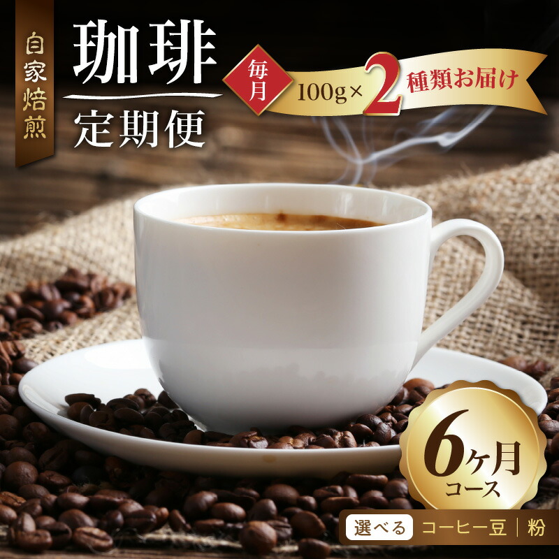 【ふるさと納税】【定期便】 コーヒー 6ヶ月 店主厳選 世界の珈琲 飲み比べ 2種類 セット 毎月 お届け 100g×2袋 6回 合計1.2kg 豆コース 粉コース コーヒー豆 ブレンド 鮮度 丁寧 自家焙煎 グルメ 生産地別 豆 粉 メール便 ポスト投函 お取り寄せ 福岡県 久留米市 送料無料