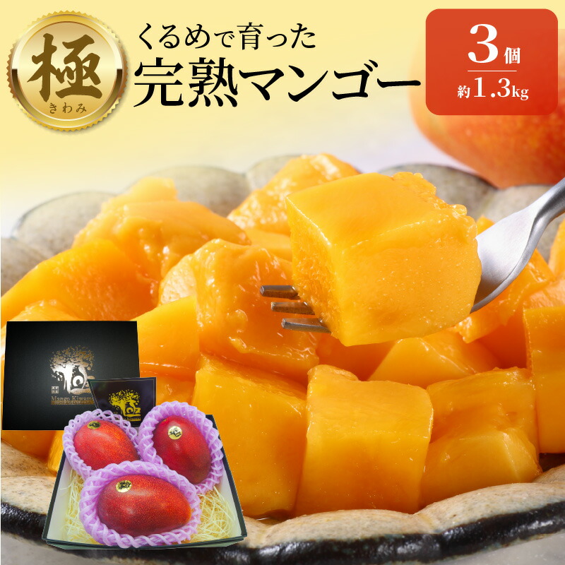【ふるさと納税】完熟マンゴー 3玉 約 1.3kg 久留米産 平均糖度 17度～18度 完熟 マンゴー 2026年 6月下旬より 順次お届け 国産 フルーツ トロピカルフルーツ 果物 デザート 冷蔵 クール便 お取り寄せ お取り寄せフルーツ 福岡県 久留米市 送料無料