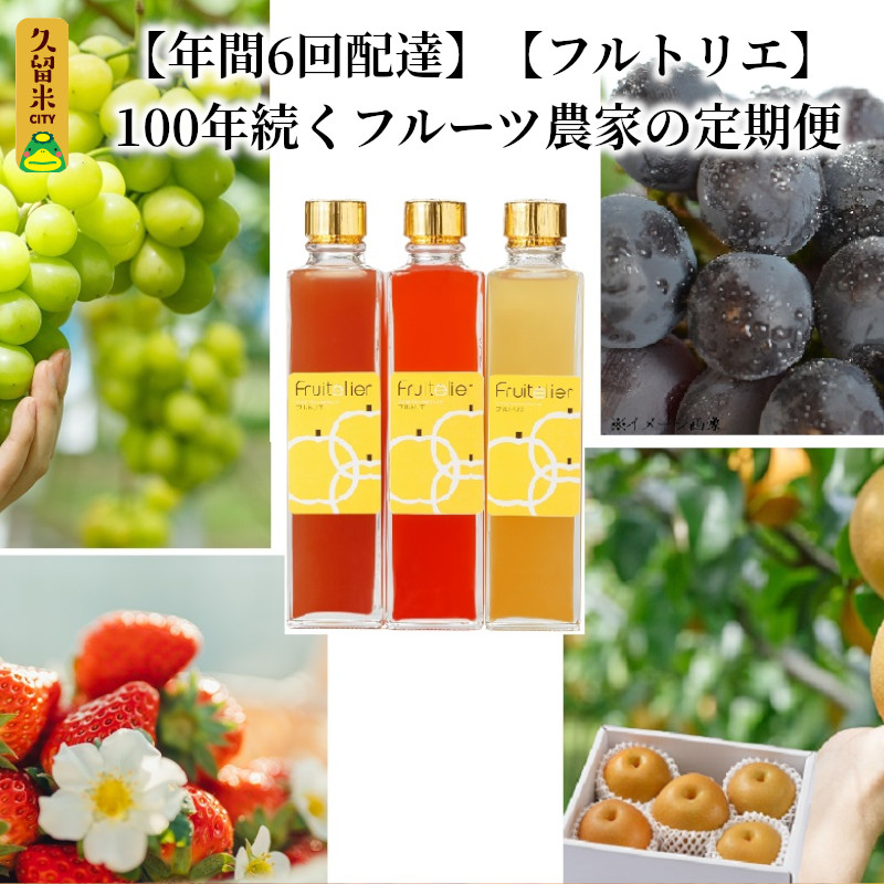 WEB限定 定期便 6回 贈答用 フルーツ セット 詰め合せ 幸水梨 ピオーネ 豊水梨 シャインマスカット 新高梨 フルーツビネガー いちごジャム 梨のコンポート  あまおう いちご 食べ比べ ギフト 果物 朝採れ 冷蔵 送料無料 100年続くフルーツ農家 フルトリエ 中村果樹園 fucoa.cl