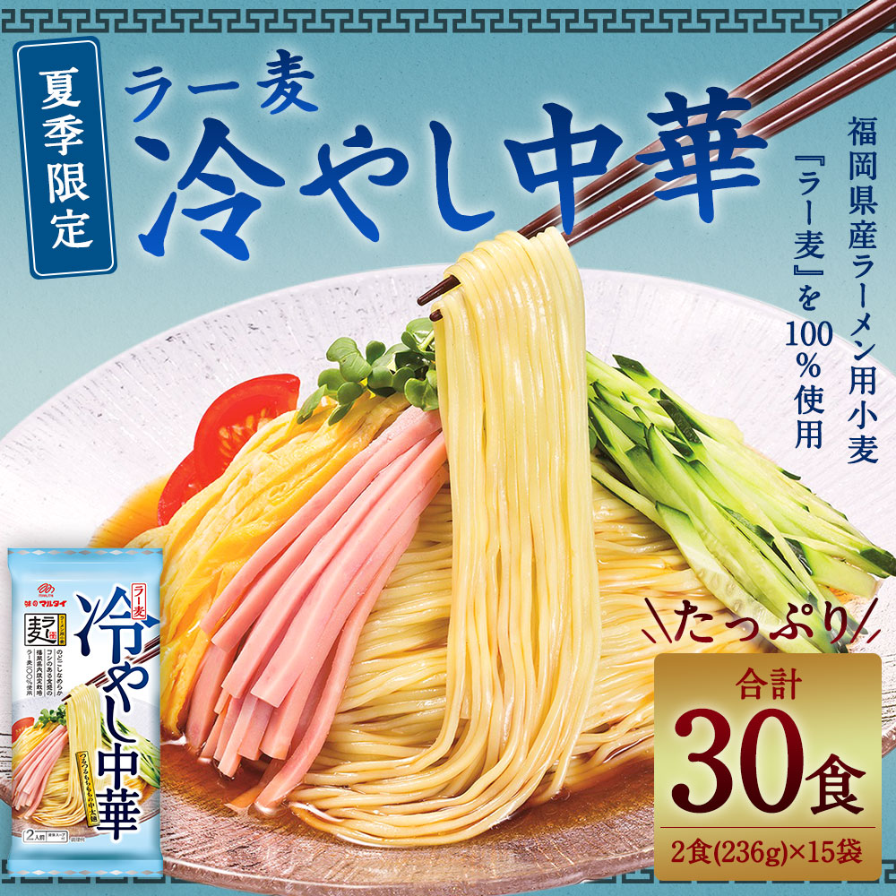 市場 ふるさと納税 中太麺 236g 合計30食 2食 ×15袋 ラー麦冷やし中華 冷やし中華 3540g 夏季限定 冷やし麺 たっぷり30食