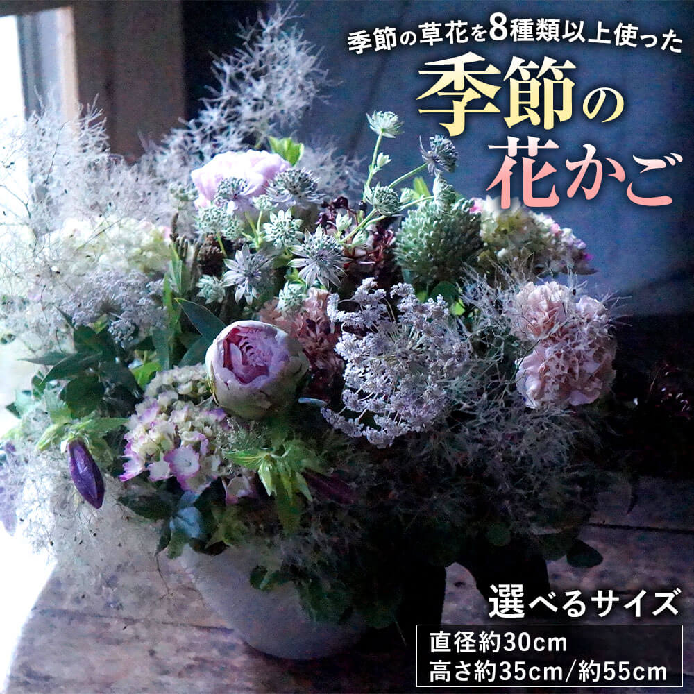 【ふるさと納税】【決める日至要たる】時節の花かご 100大きさ／120大きさ 時節の被子植物 8類概念以上 100(差しわたし約30糎、高さ約35糎) 120(差しわたし約30糎、高さ約55糎) 花かご 申し合わせ 旬 被子植物 御花 詰め合わせ 被子植物ノ芳ばしさ 【8月お届け不可】 貨物輸送無料