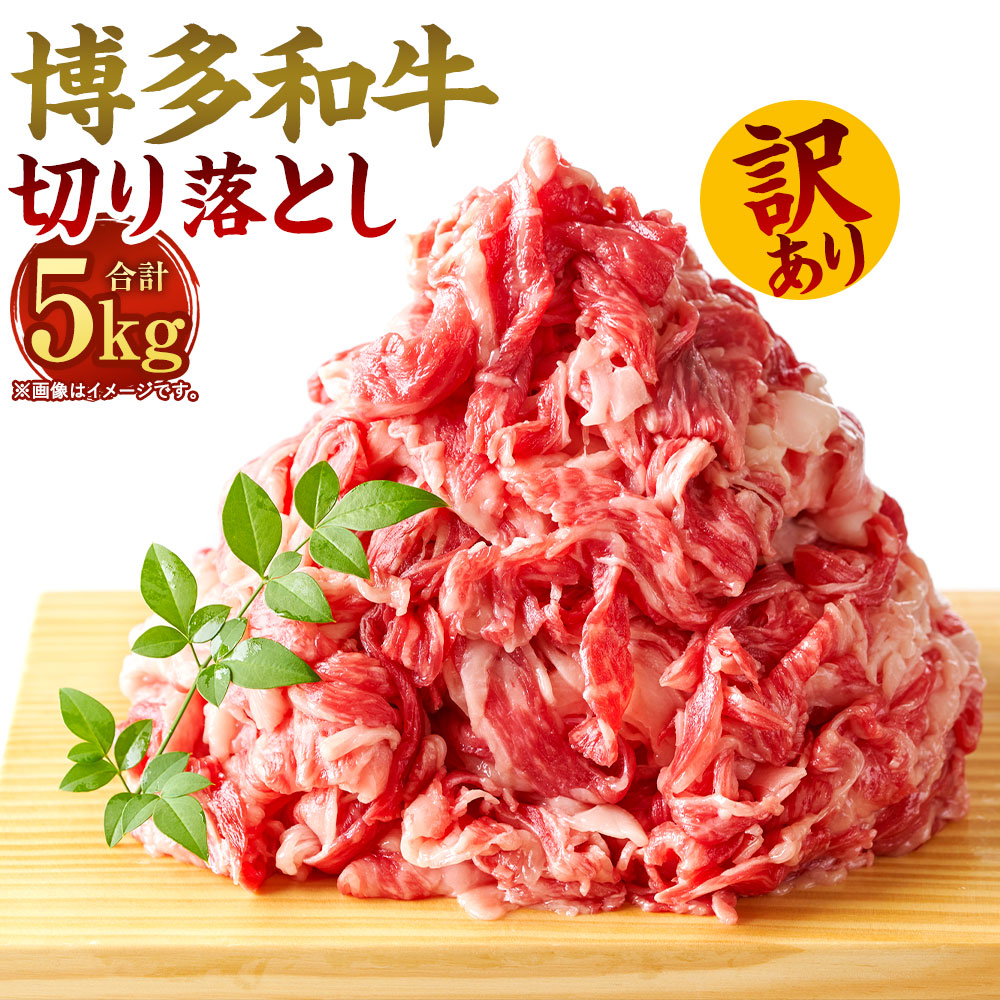 【ふるさと納税】訳あり!博多和牛 切り落とし 牛肩・バラ 合計5kg 500g×10パック 部位はお任せ 黒毛和牛 国産牛 牛肉 お肉 肉 お取り寄せ 小分け 国産 九州産 福岡県産 冷凍 送料無料|福岡県直方市