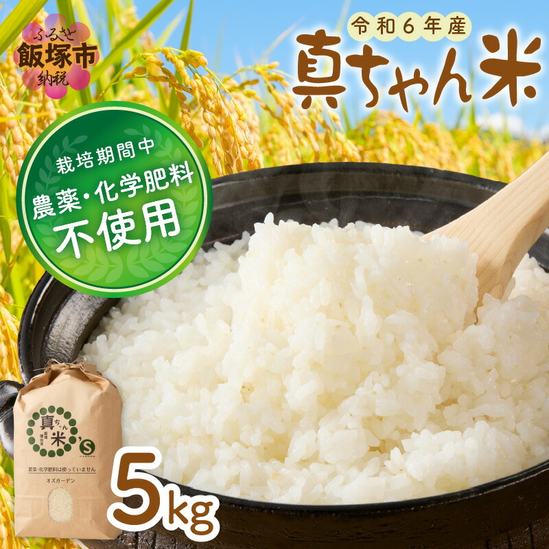 広島県産 世羅産 令和6年 コシヒカリ 令和6年度産新米 世羅産コシヒカリ 5kg（特別栽培米） | 末広米穀
