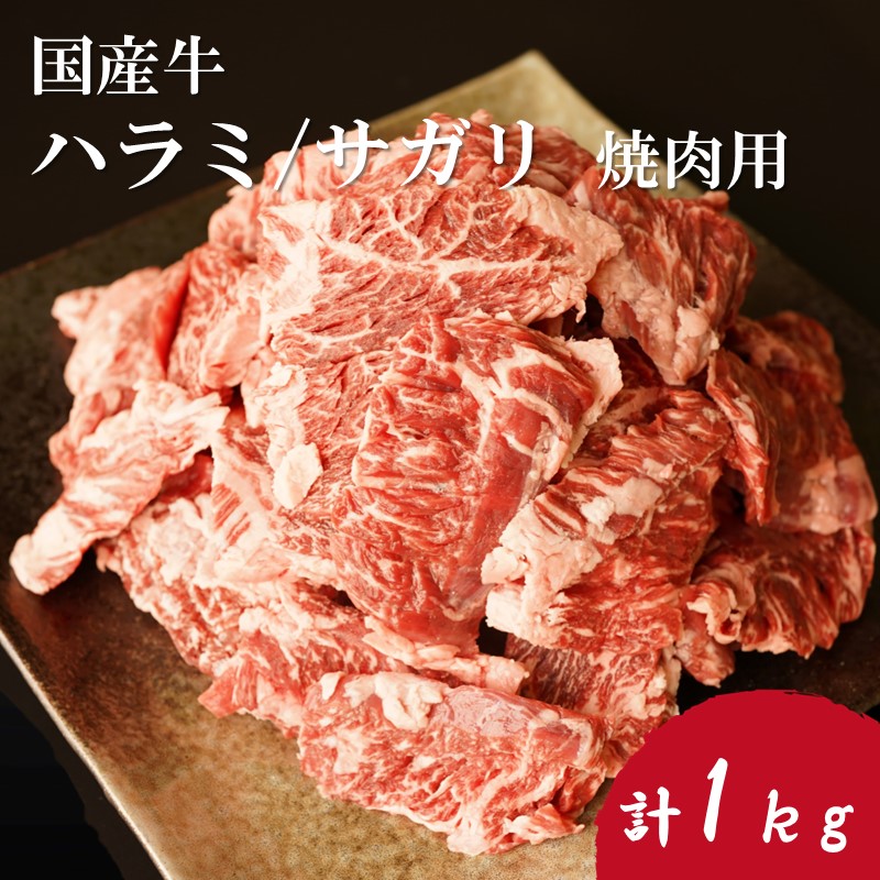 期間限定キャンペーン 4kg 個別 肉類 飯塚市 ぶた 切落とし 国産豚切落し4.0kg 国産 熟成 熟成肉 500gｘ8p 冷凍 切り落とし肉  大容量 食品 飯塚 切り落し 氷温熟成 肉 小分け 個別包装 小間 豚 豚肉 精肉・肉加工品