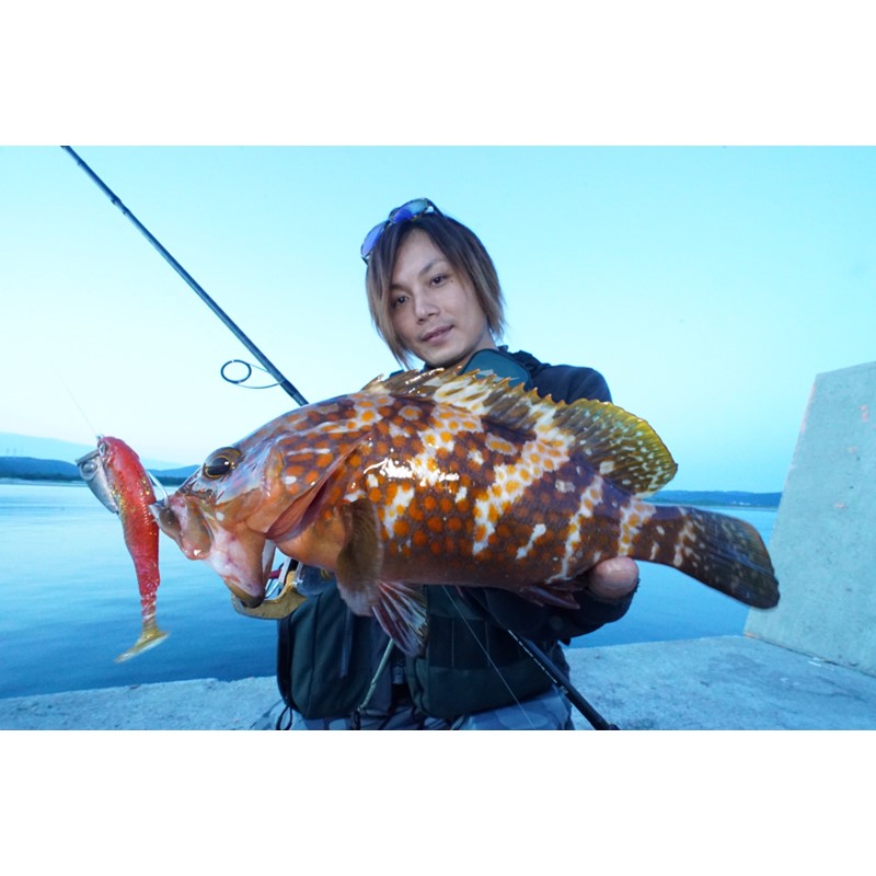 魅了 ハタ喰い 魚子 3 5inch 5カラー セレクトセット 限定 ルアー ワーム 釣り 釣具 釣り具 アウトドア用品 魚釣り ギフト キャンプ フィッシング ルーディーズ Rudie S ロックフィッシュ 福岡 飯塚市 飯塚 カサゴ 根魚 キジハタ 送料無料 金丸 竜児 Other Ro
