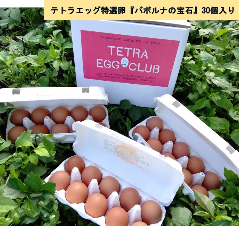【ふるさと納税】テトラエッグ特選卵『バボルナの宝石』30個入 たまご 卵 玉子 特選卵 テトラエッグ 30個 【A-807】